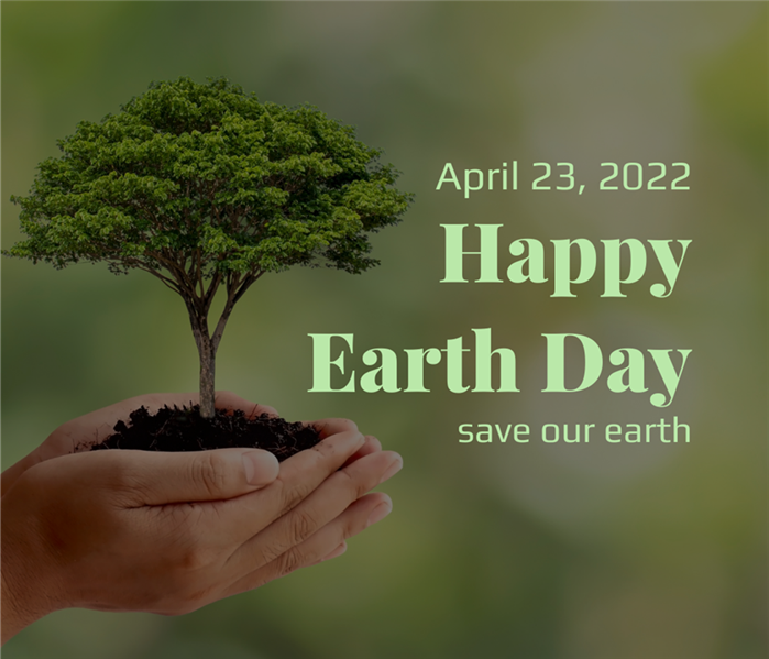 Earth Day Graphic, Hands holding tree