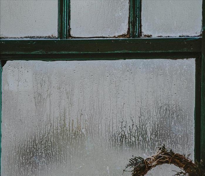 condensation on windowsill